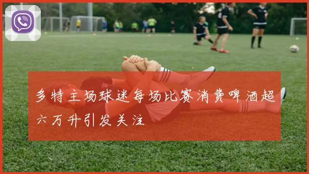 多特主场球迷每场比赛消费啤酒超六万升引发关注